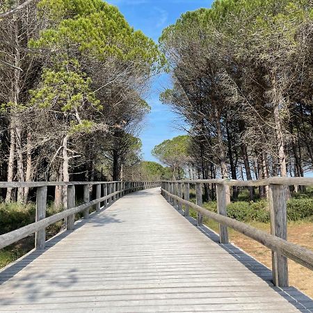 Malibu Apartments 비비오네 외부 사진