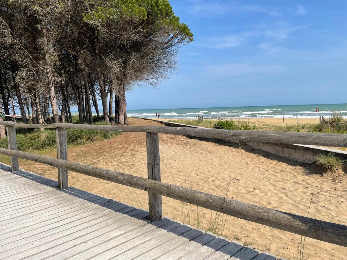 Malibu Apartments 비비오네 외부 사진